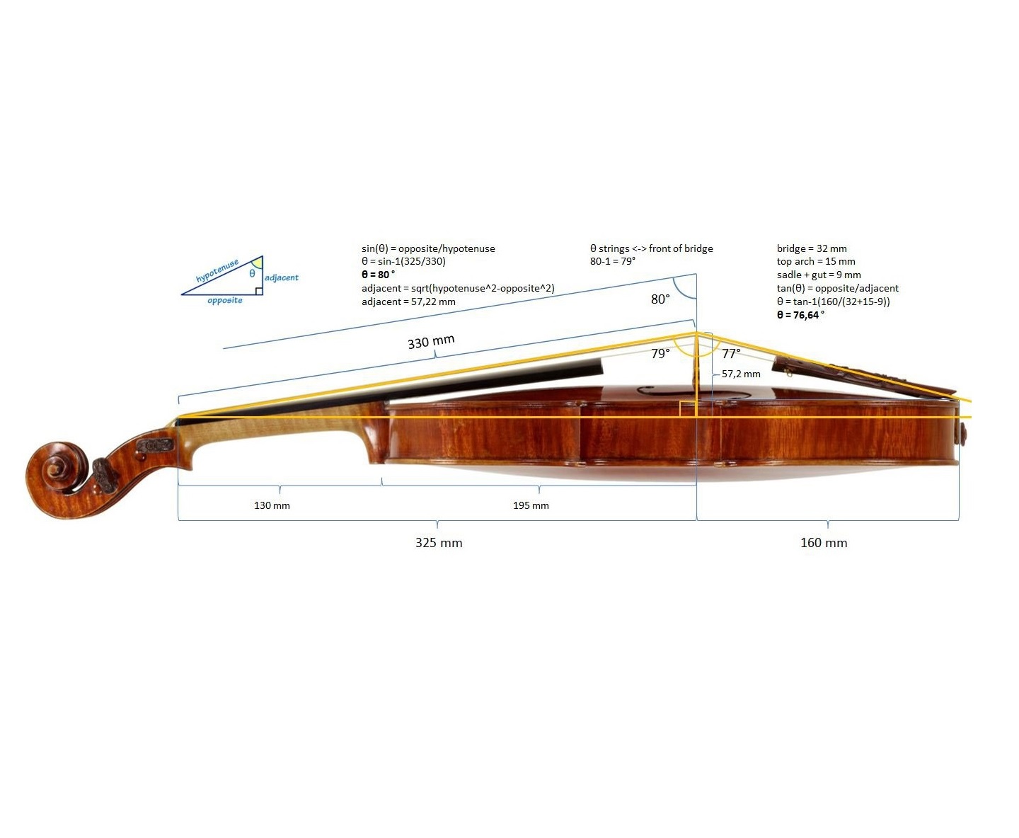 Violin standard body measurement